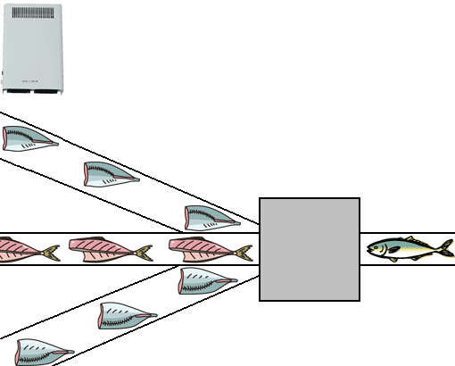 오존 형 살균 탈취제 장치에 의한 제 11 호 물고기 가공 장내 살균 탈취