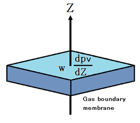 Gas boundary membrane