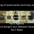 Heating of wood series 8 Summary version - Best Applications the Halogen Point Heater
